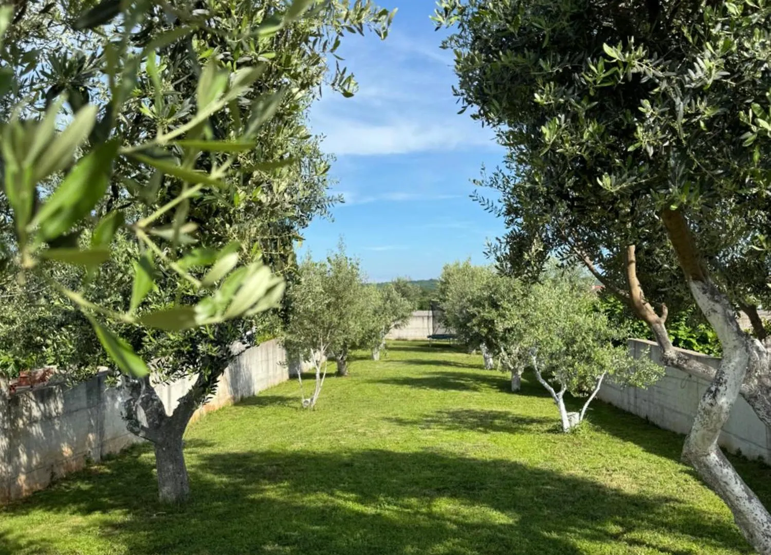 Villa Genesis - Stadtvilla Marcana Istrien - Mit Privatem, Beheizbaren Infinity Pool Und Olivengarten